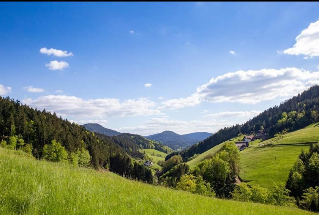 Отель Gaestehaus Haaser Бад-Петерсталь-Грисбах Экстерьер фото