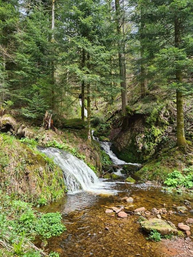 Отель Gaestehaus Haaser Бад-Петерсталь-Грисбах Экстерьер фото
