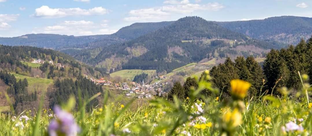 Отель Gaestehaus Haaser Бад-Петерсталь-Грисбах Экстерьер фото
