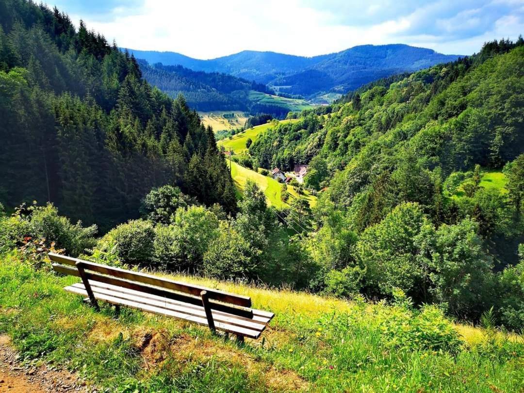 Отель Gaestehaus Haaser Бад-Петерсталь-Грисбах Экстерьер фото