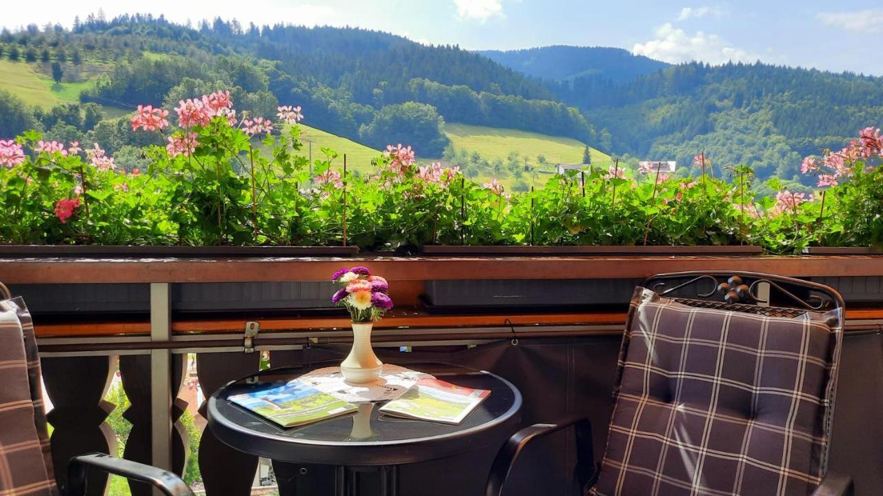 Отель Gaestehaus Haaser Бад-Петерсталь-Грисбах Экстерьер фото