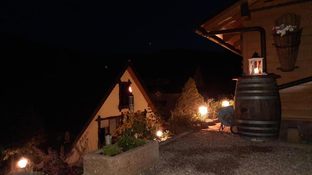 Отель Gaestehaus Haaser Бад-Петерсталь-Грисбах Экстерьер фото