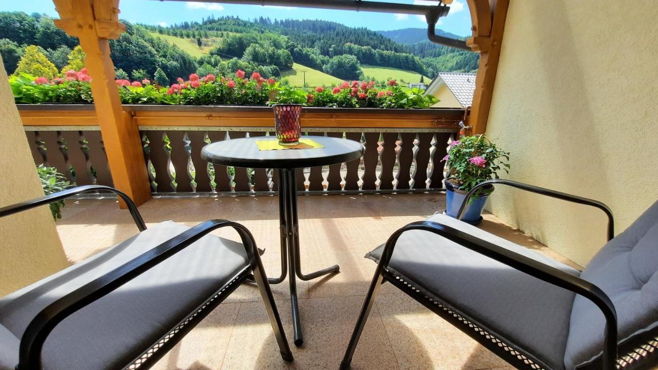 Отель Gaestehaus Haaser Бад-Петерсталь-Грисбах Экстерьер фото